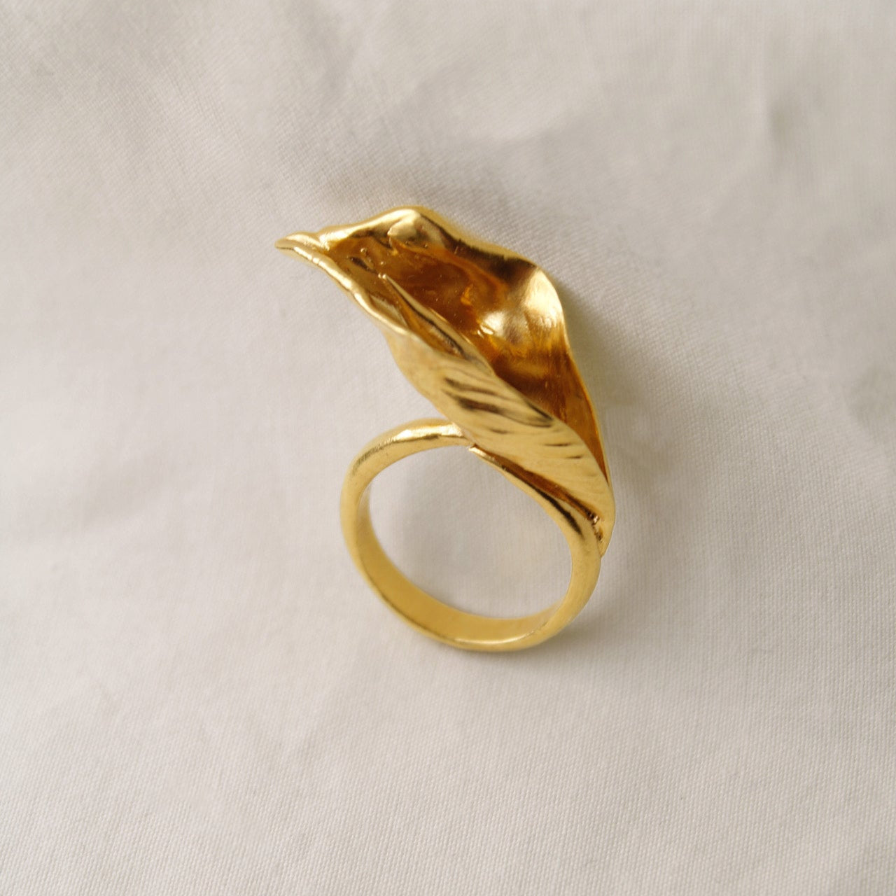Anillo Cala Oro Sala 1