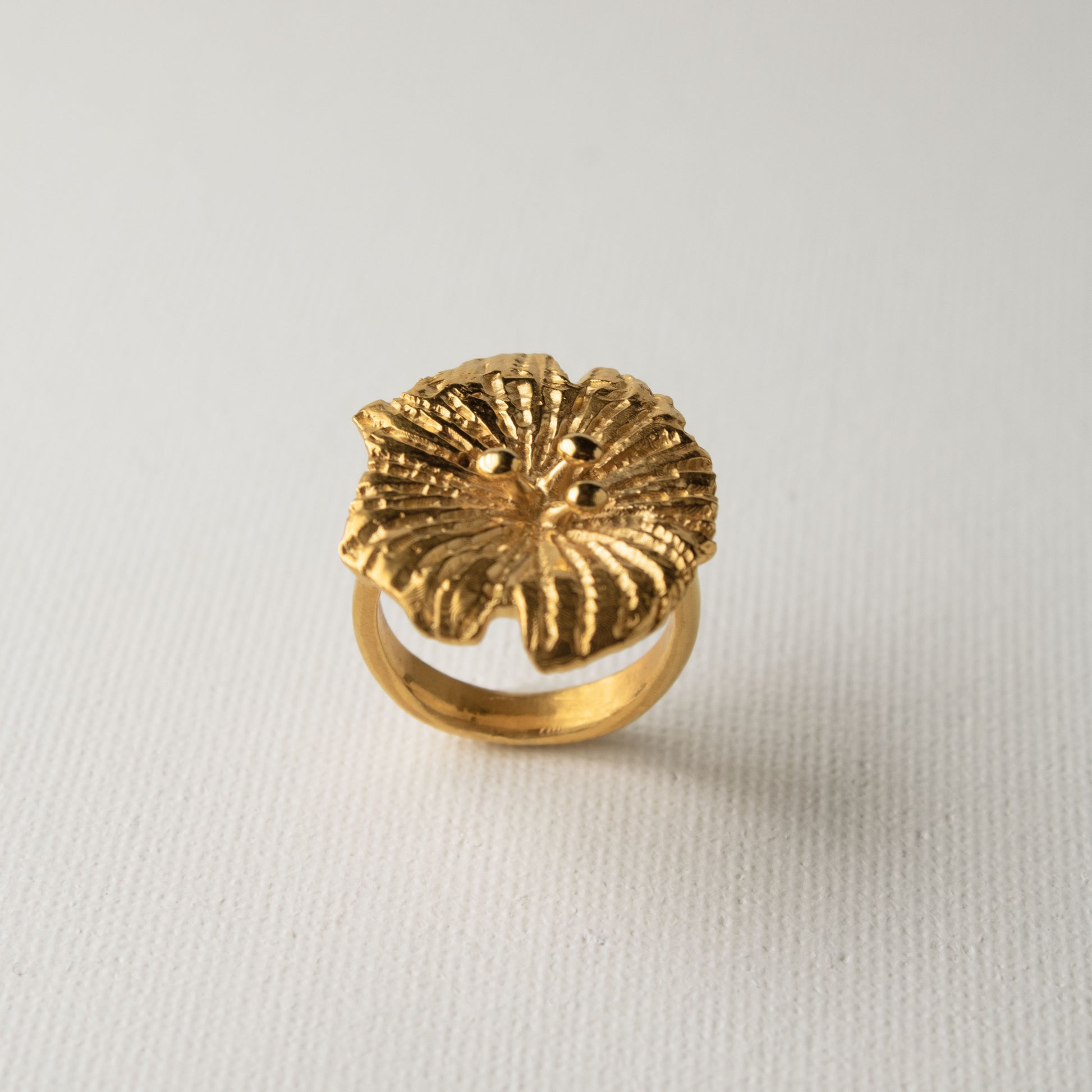 Anillo Altea Oro Salá