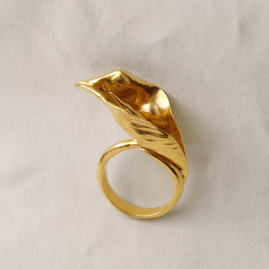 Anillo Cala Oro Sala 2
