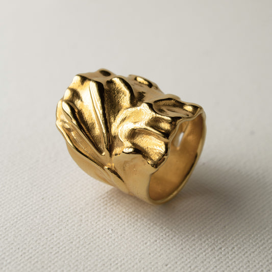Anillo Laminaria Grueso Oro